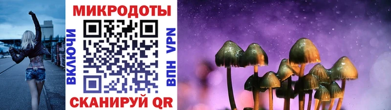 Псилоцибиновые грибы мицелий  Нязепетровск 